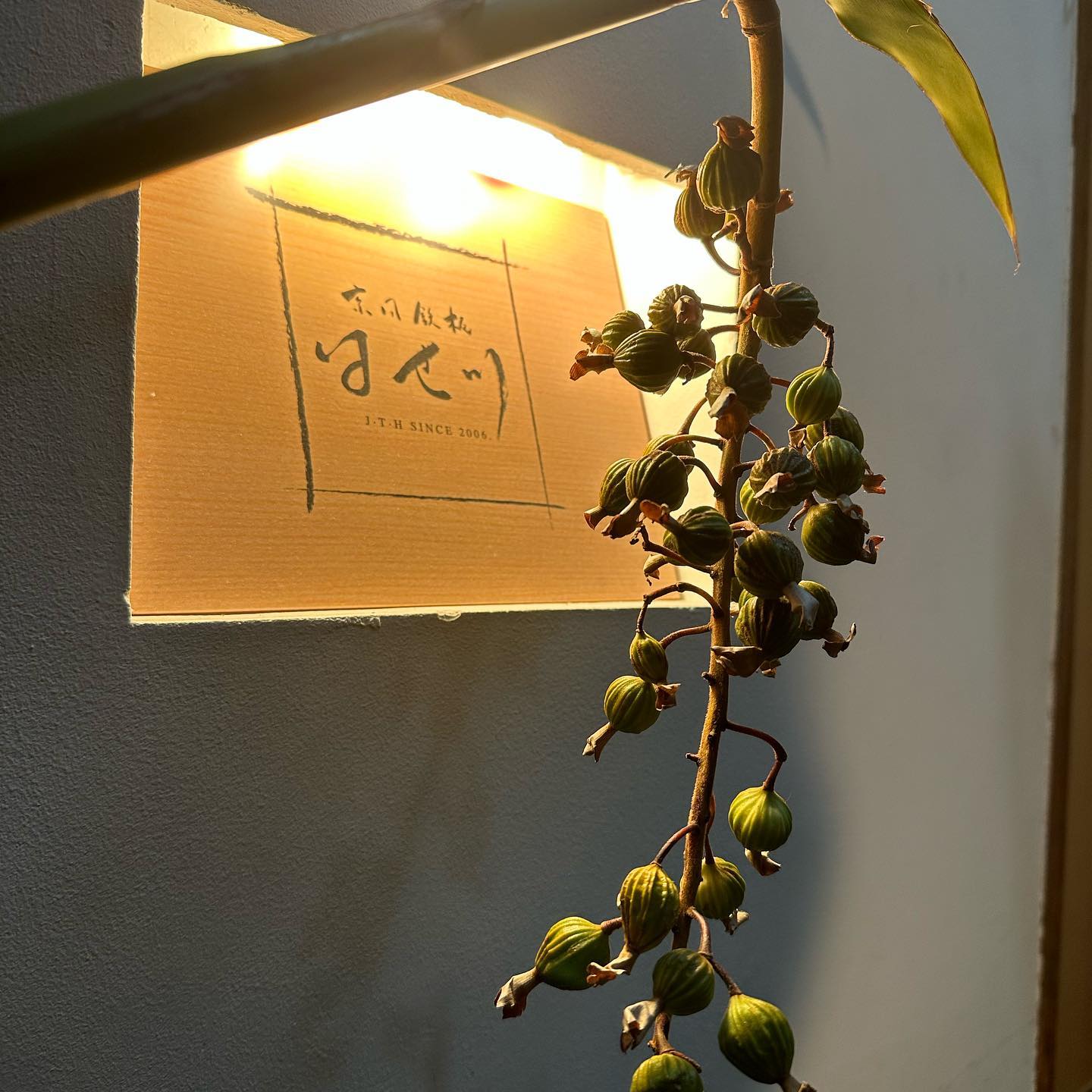 Instagram 新着投稿